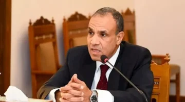 وزير الخارجية يطالب بتمثيل عادل لأفريقيا في مجلس الأمن لتصحيح خطأ تاريخي